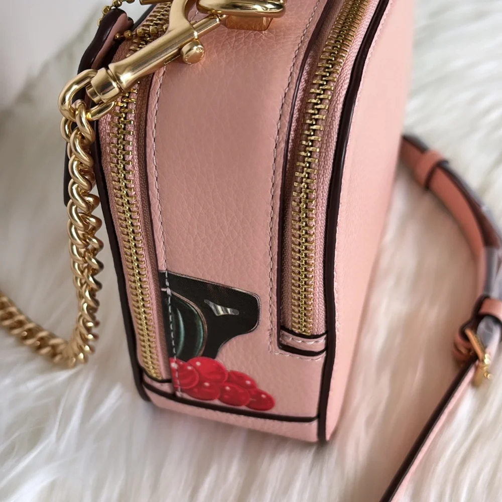 NWT💃Coach Coach X Tom Wesselmann Box Crossbody Bag - Picture 5 of 14